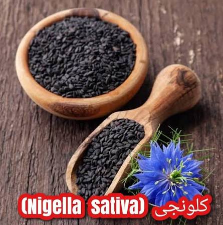 کلونجی — Black Seed (Nigella Seeds)