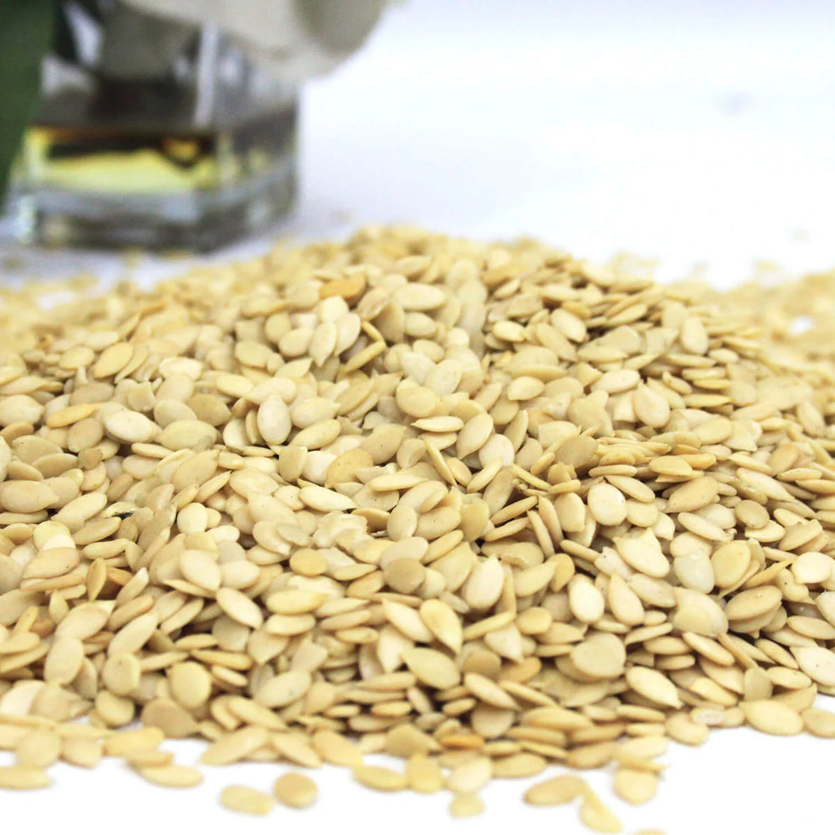 مغز خربوزہ — Melon Seeds
