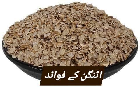تخم اوٹگن — Tukhm-e-Oatgan