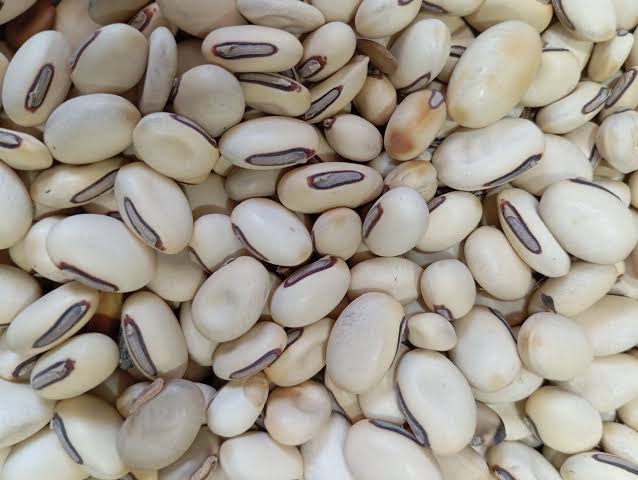 تخمِ کونچ – خالص قدرتی بیج | Premium Kaunch Seeds (Mucuna Pruriens)