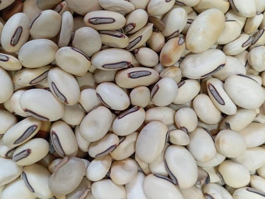 تخمِ کونچ – خالص قدرتی بیج | Premium Kaunch Seeds (Mucuna Pruriens)