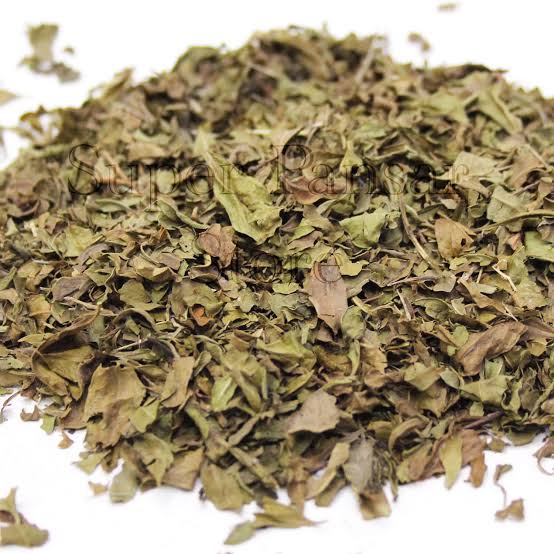 کڑی پتہ — Curry Leaves