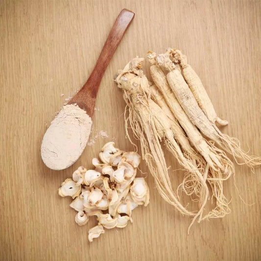 جنسنگ — Jinseng — Ginseng جنسنگ چائنا — Chinese Ginseng