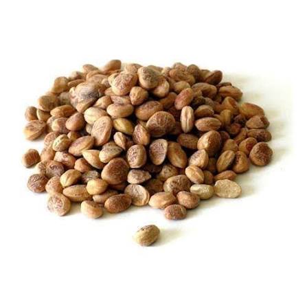 مغز چرونجی — Charoli Kernels