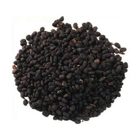 بابچی – خالص قدرتی بیج | Premium Babchi Seeds