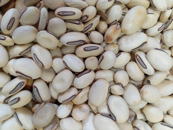 تخمِ کونچ – خالص قدرتی بیج | Premium Kaunch Seeds (Mucuna Pruriens)