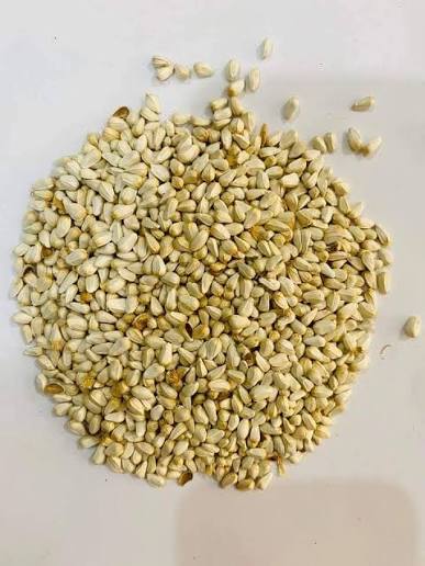 تخم قینب — Tukhm Qainab