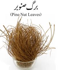 برگِ سنوبر — Barg-e-Sanobar