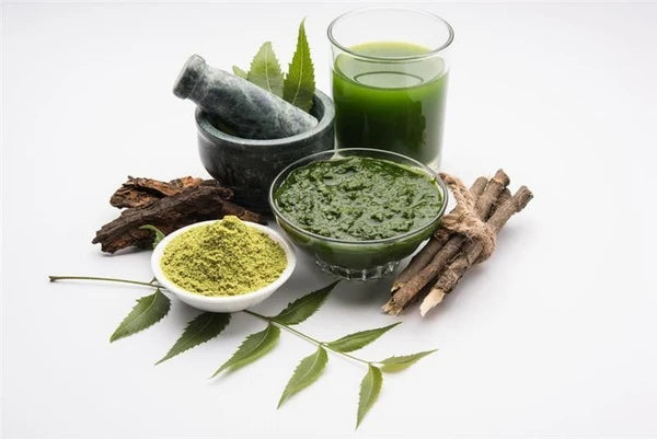 برگِ نیم — Neem Leaves