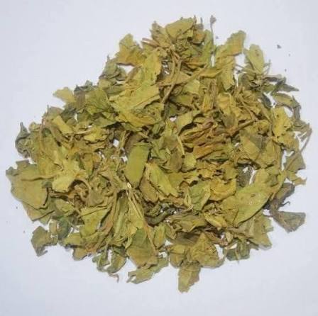 گڑمار بوٹی — Gurmar Herb
