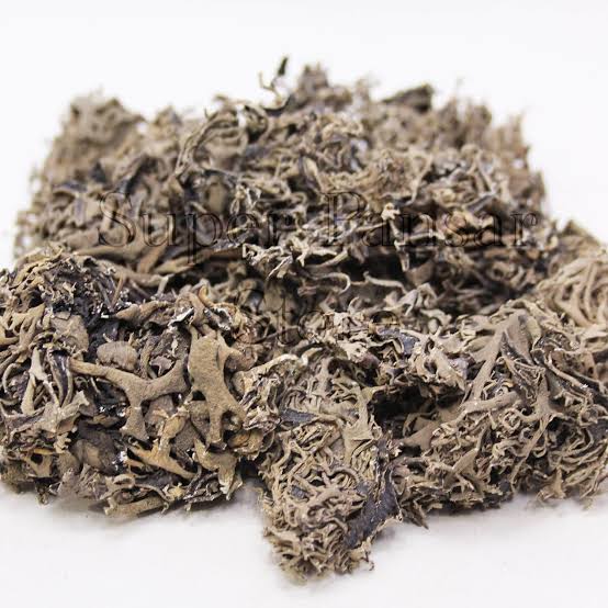 چھریلا – خالص قدرتی جڑی بوٹی | Premium Chirella Herb