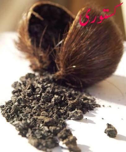 کستوری نمبر 1 — Kasturi No. 1