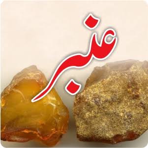 عنبر عنبر — Amber NO 1