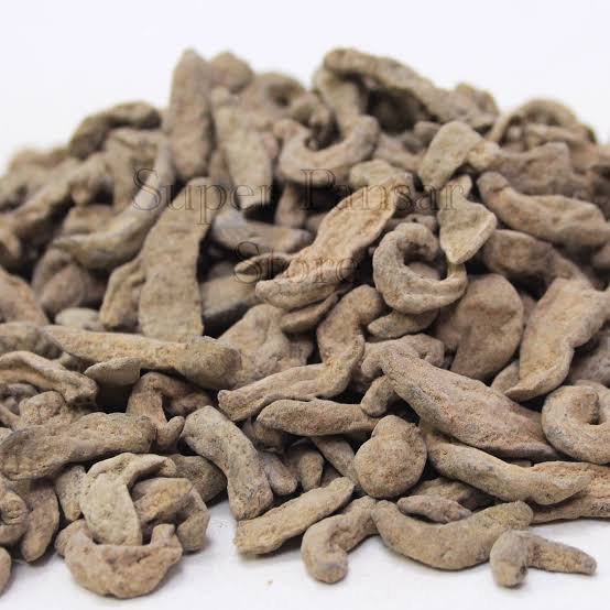جونک خشک — Dried Leech