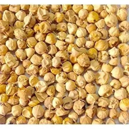 پنیر ڈوڈی – خالص قدرتی جڑی بوٹی | Premium Paneer Dodi