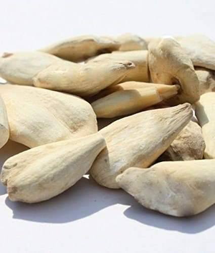 سرنجان شیریں – خالص قدرتی جڑی بوٹی | Premium Suranjan Shireen