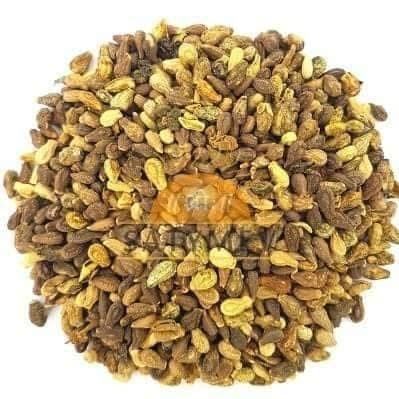 شِولنگی — Shilwangi